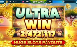 116bet login