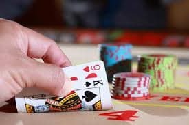 116bet login