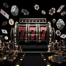 116bet login